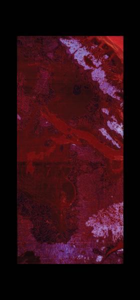 THE RED MAP